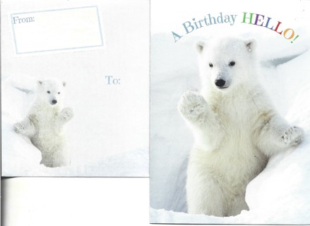 Brand New Never Been Used Birthday Greeting Card With Matching Envelope