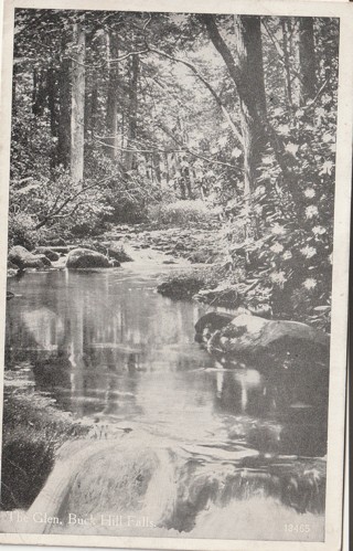 Vintage Used Postcard: (j): 1923 The Glen, Buck Hill Falls