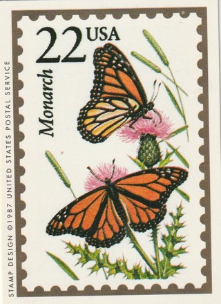 Vintage Wildlife America Collector/Trade Card: Monarch