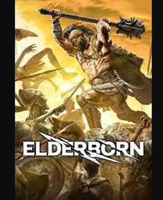 ELDERBORN steam key