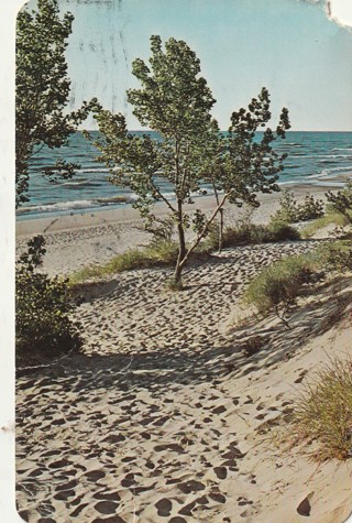 Vintage Used Postcard: (c1): Greetings from Rothbury, MI