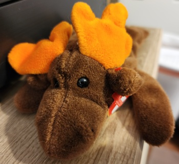 NEW - TY Beanie Baby - "Chocolate"