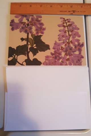 Papyrus Birthday Card with Envelope