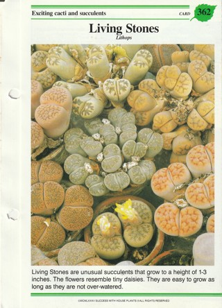 Success with Plants Leaflet: Cacti: Living Stones