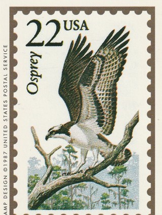 Vintage Wildlife America Collector/Trade Card: Osprey