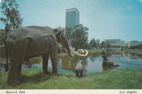 Vintage Unused Postcard: (gin2): Hanock Park, Los Angeles, CA