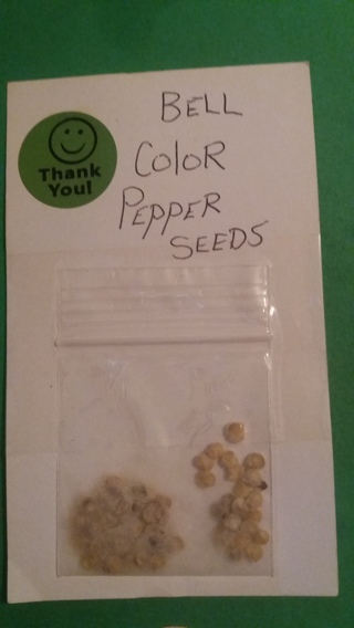 color bell pepper seeds free shipping
