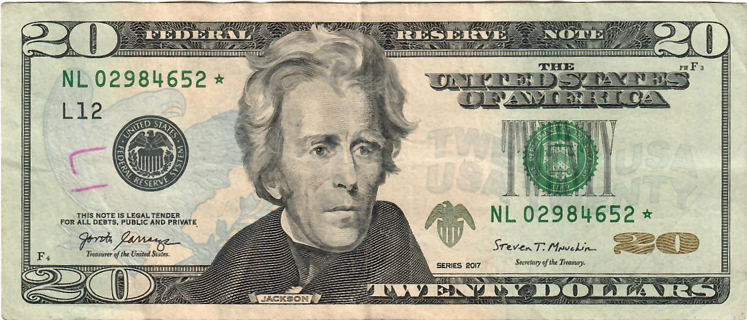 $20 Bill Star Note Nice!   P6