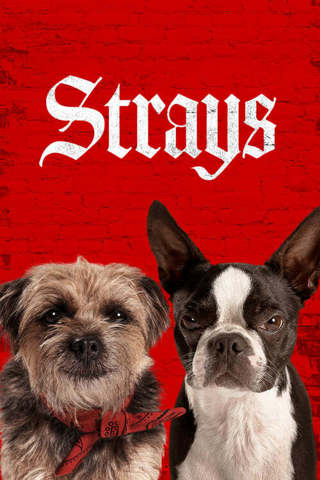 Strays Digital HD Movie Code