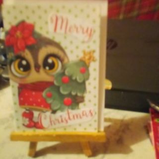 Merry Christmas Owl - Small Design Blank Note Card