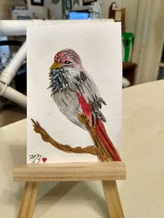 Original, Watercolor ACEO Painting 2-1/2"X 3/1/2" Male House Finch by Artist Marykay Bond