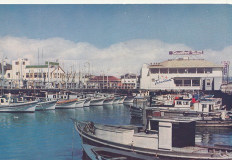 Vintage Unused Postcard: GIN: Fisherman's Wharf, San Francisco, CA