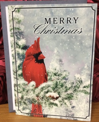 Cardinal Bird Christmas Card