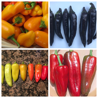 Sweet pepper seeds deal: Lunchbox Snack, Murasaki, Banana & Marconi pepper seeds