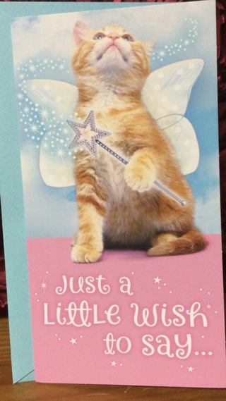 Fairy Cat Birthday Card