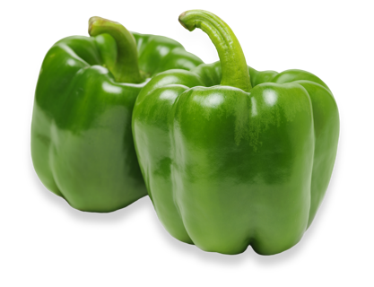 CALIFORNIA WONDER SWEET BELL PEPPERS Packed for 2025