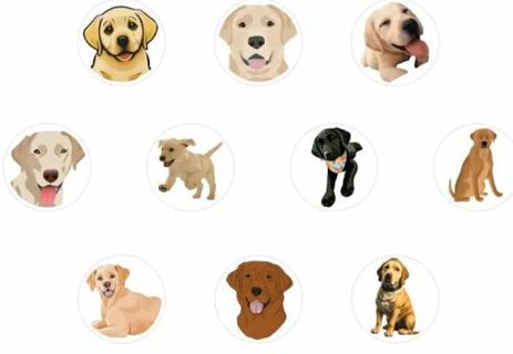 ➡️NEW⭕(10) 1" GOLDEN RETRIEVER STICKERS!! DOG (SET 5 of 5)