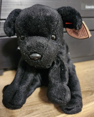 NEW - TY Beanie Baby - "Luke"