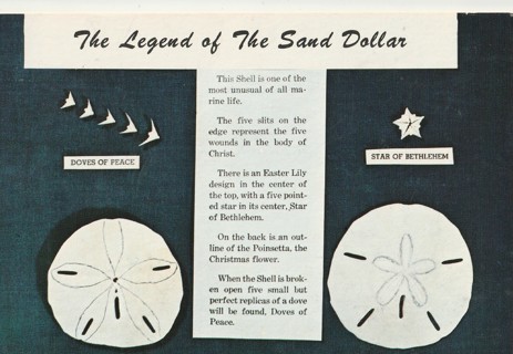 Vintage Unused Postcard: v: Legend of the Sand Dollar
