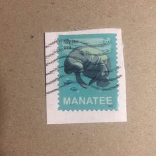 2024 Manatee Forever USA Postage Stamp | Canceled (Used)