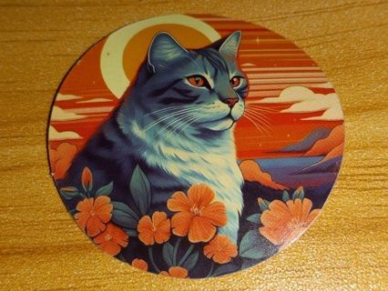 Cat new one vinyl lap top sticker no refunds regular mail very nice quality