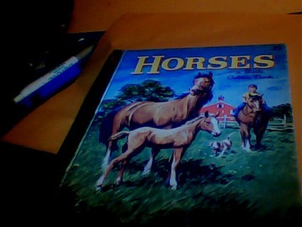 Little golden book HORSES