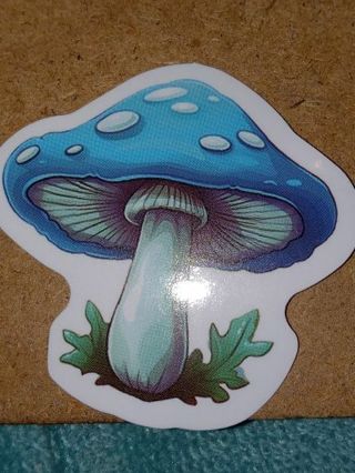 Pretty one small vinyl sticker no refunds regular mail only Very nice quality!