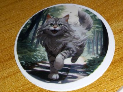 Cat Cool new 1⃣ vinyl laptop sticker no refunds regular mail very nice quality