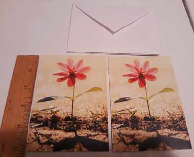 2 Floral Notecards (with envelopes)