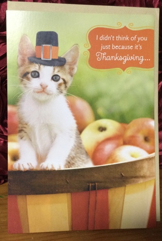 Pilgrim Thanksgiving Kitten in Basket of Apples Card