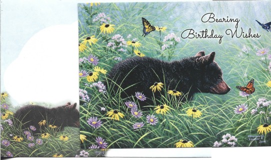 Brand New Never Been Used Birthday Greeting Card With Matching Envelope