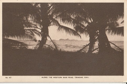 Vintage Unused Postcard: z: Overseas