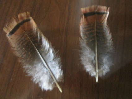 2 real turkey feathers