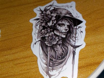 Cool nice one vinyl sticker no refunds regular mail only Very nice quality!