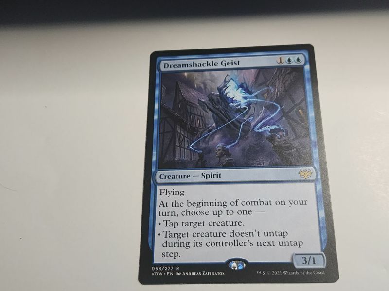 Free: Magic the gathering mtg Dreamshackle Geist rare card Crimson Vow ...