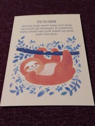 Animal Fun Fact Notecard/Postcard - Sloth