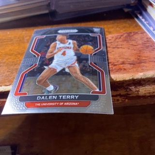 2020-21 panini prizm draft picks dalen terry rookie basketball card 