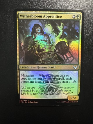 Witherbloom Apprentice MTG Magic the Gathering Strixhaven Foil NM Card