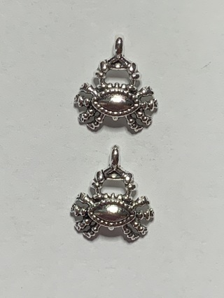 OCEAN/BEACH CHARMS~#26~SILVER~2 CHARMS~FREE SHIPPING!