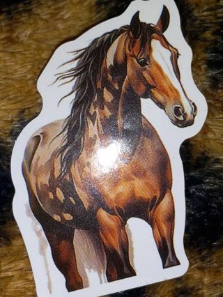 Cute new nice big vinyl sticker no refunds regular mail win 2 or more get bonus