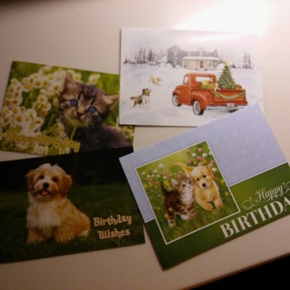 Cute puppy, kitten greeting cards