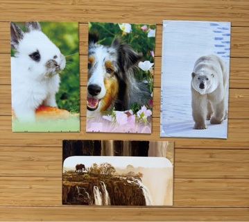 4 Animal Themed Envelopes -  recycled from heavyweight Pages