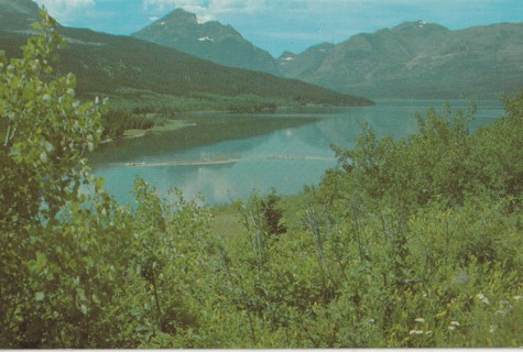 Vintage Unused Postcard: Medicine Lake, Glacier National Park, Montana