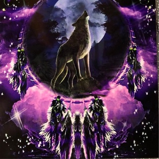 Purple wolf dream catcher - 3 x 3” magnet