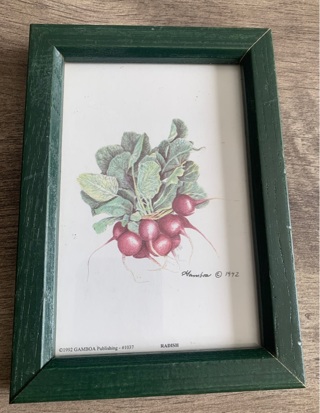Vintage Gamboa Publishing 1992 Onions Artwork Mini Framed Art 