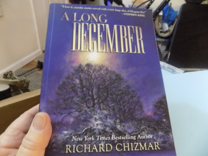 A Long December by Richard Chezman
