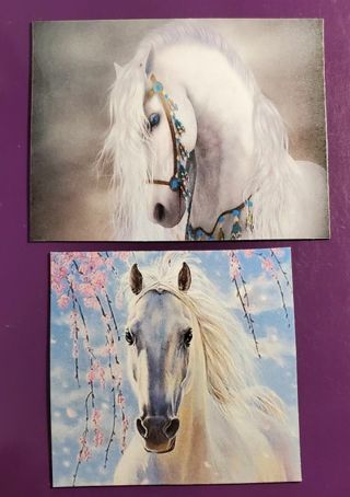 Horse Magnets