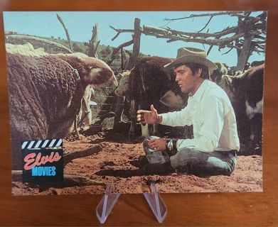 1992 The River Group Elvis Presley "Elvis Movies" Card #106