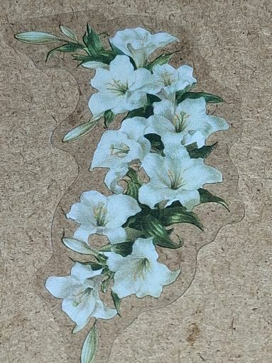 Free: Flower new clear vinyl lap top sticker no refunds regular mail very nice quality