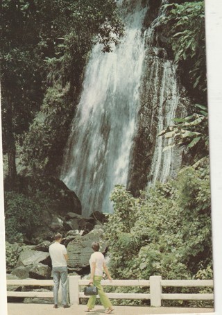 Vintage Unused Postcard: (gin12): Puerto Rico